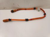 Other wiring loom
