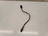 Sonde lambda