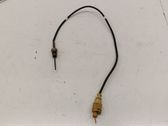 Exhaust gas temperature sensor
