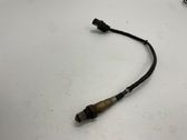 Sonde lambda