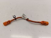 Other wiring loom