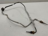Capteur de température des gaz d'échappement