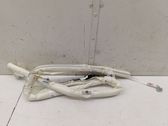 Roof airbag