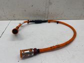 Other wiring loom