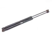 Tailgate/trunk strut/damper