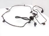 Parking sensor (PDC) wiring loom