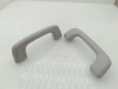 Front interior roof grab handle