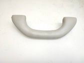 Front interior roof grab handle