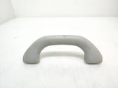 Front interior roof grab handle
