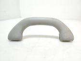 Front interior roof grab handle