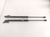 Tailgate/trunk strut/damper