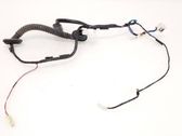 Rear door wiring loom