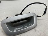 Tailgate opening switch