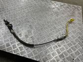 Seat belt adjustment motor
