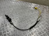 Seat belt height adjuster