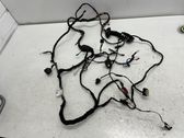 Front door wiring loom