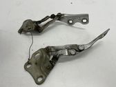 Bisagras del capó/tapa del motor