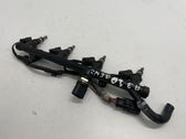 Fuel injectors set