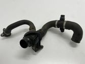 Thermostat/thermostat housing
