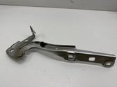 Engine bonnet/hood hinges