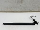Tailgate/trunk strut/damper