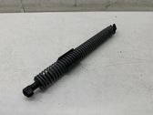 Tailgate/trunk strut/damper
