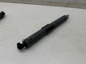 Tailgate/trunk strut/damper