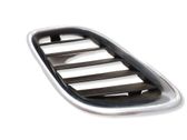 Front bumper lower grill
