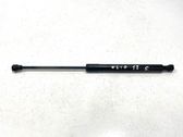 Tailgate/trunk strut/damper