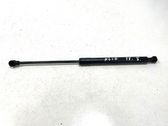 Tailgate/trunk strut/damper