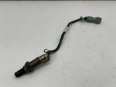 Sonde lambda