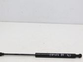 Tailgate/trunk strut/damper