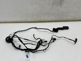 Cableado de puerta trasera