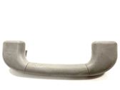 Front interior roof grab handle