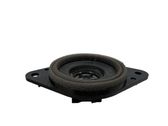 Front door high frequency speaker
