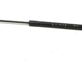 Tailgate/trunk strut/damper