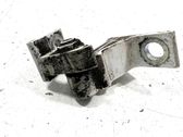 Rear door lower hinge