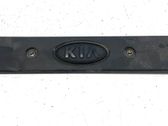 Engine cover (trim)