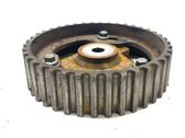 Fuel pump gear (pulley)