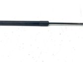 Tailgate/trunk strut/damper