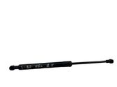 Tailgate/trunk strut/damper