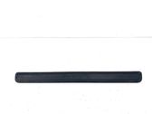 Front sill trim cover