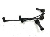 Ignition plug leads