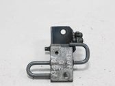 Rear door lower hinge