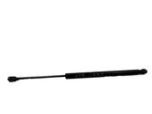 Tailgate/trunk strut/damper