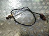 Sonde lambda