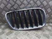 Front bumper upper radiator grill