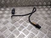 Sonde lambda