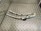 Roof airbag