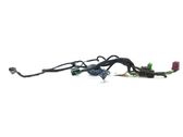 Front door wiring loom